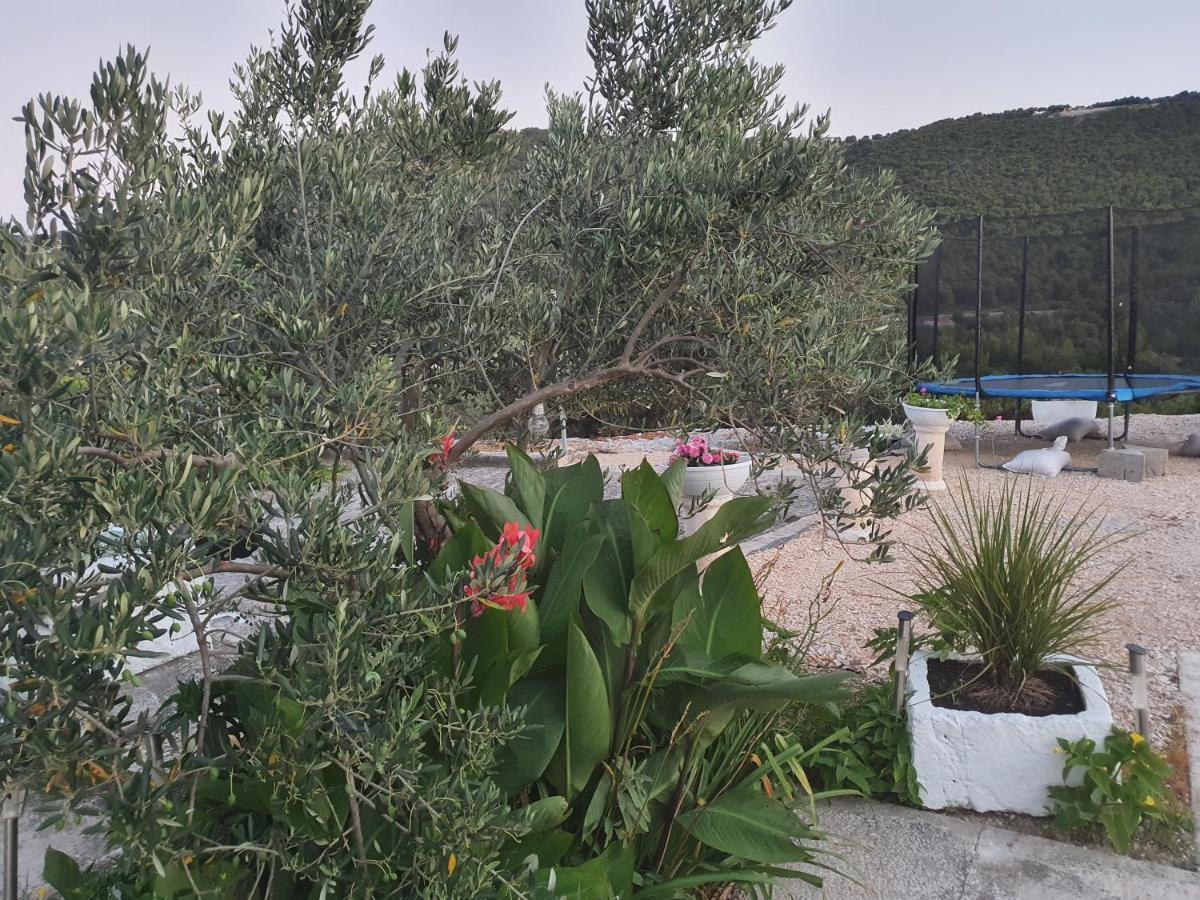 Mare Apartment Sibenik
