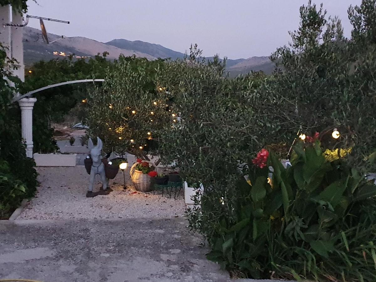 Mare Sibenik